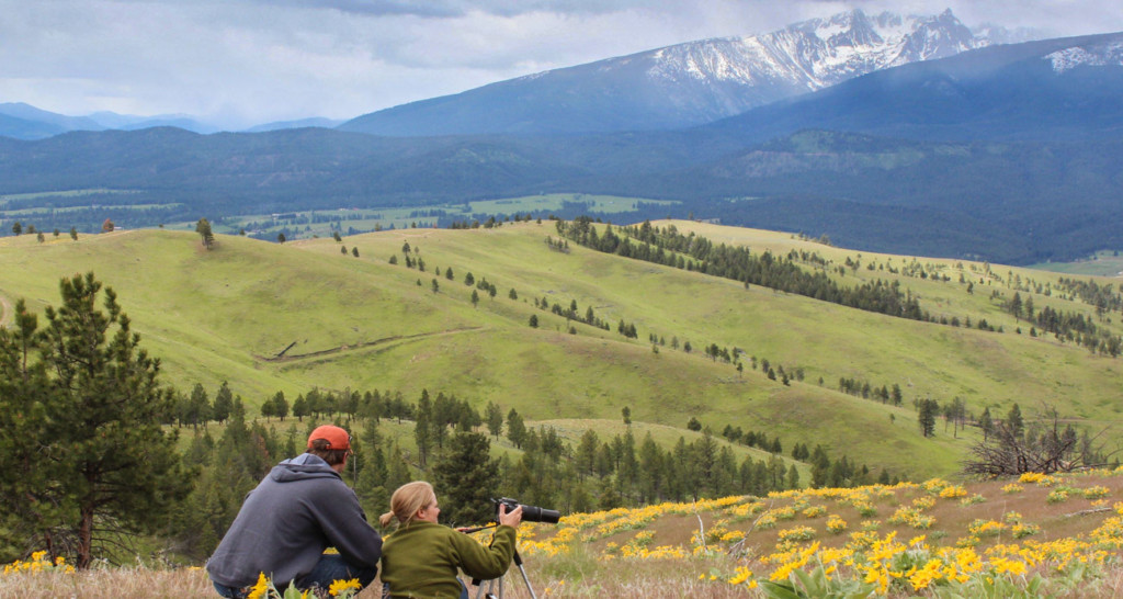 photographer couple in wildflower taking photo of trapper peak montana