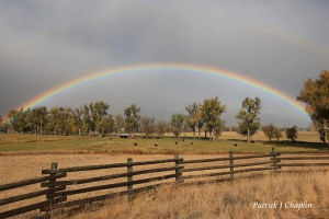 rainbow over a bitterroot valley montana cattle ranch