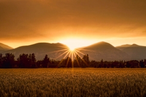 Sunrise over Bitterroot mountains Montana. Photo by Todd Taylor