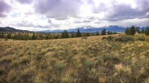 grasses and sage rolling hills looking at the Bitterroot Range from ...