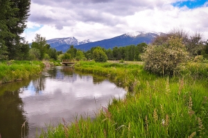 hunting Vacation in Montana