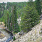 Family Vacation in Montana's Bitterroot Valley