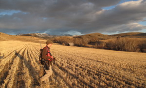 hunter in a field in Bitterroot Valley