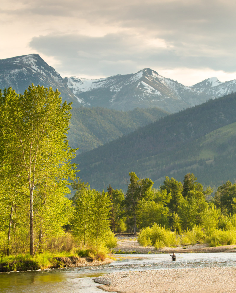 Flyfishing in Bitterroot Valley