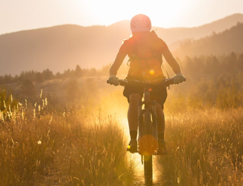 Mountain Bike Season: Get that Bike Tuned up and Ready