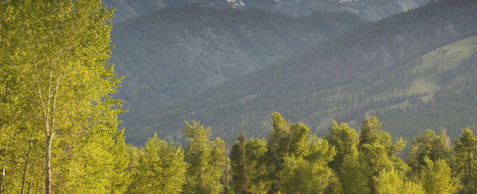 man fishing the bitterroot river with mountains in background