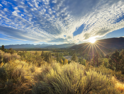 Phone Battery:  Keep a Phone Functioning in the Backcountry