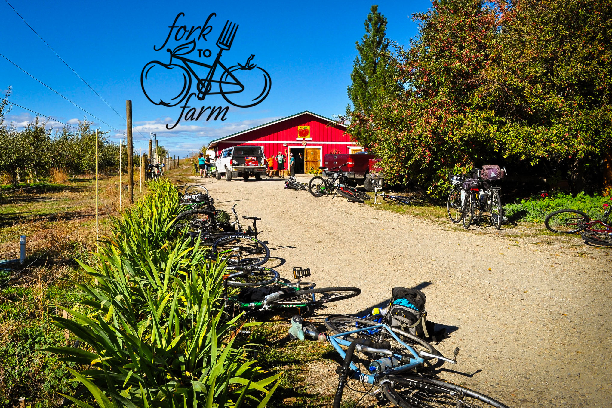 bicycles in driveway of apple orchard fork to farm tour