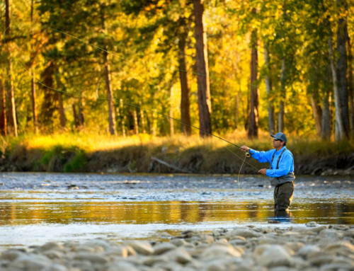 5 Must-Do Fall Activities in Montana’s Bitterroot Valley